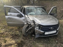 ДТП в Рязанской области пострадали двое взрослых и шестилетний ребенок